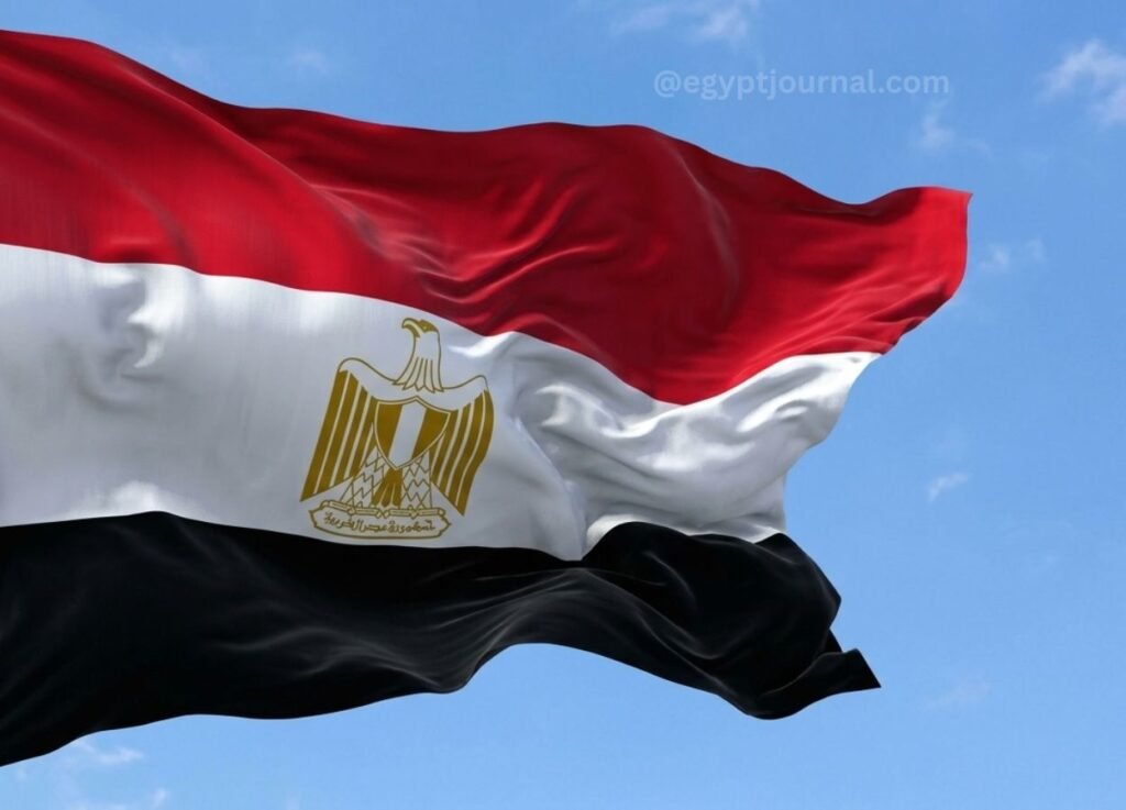 New Heliopolis Hospital concession - Egypt Journal New Heliopolis Hospital concession