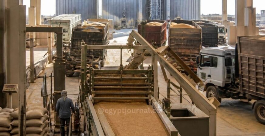 Red Sea Crisis and Eastern Europe Conflicts Escalating Operational Costs in Middle East Grain Supply Chains