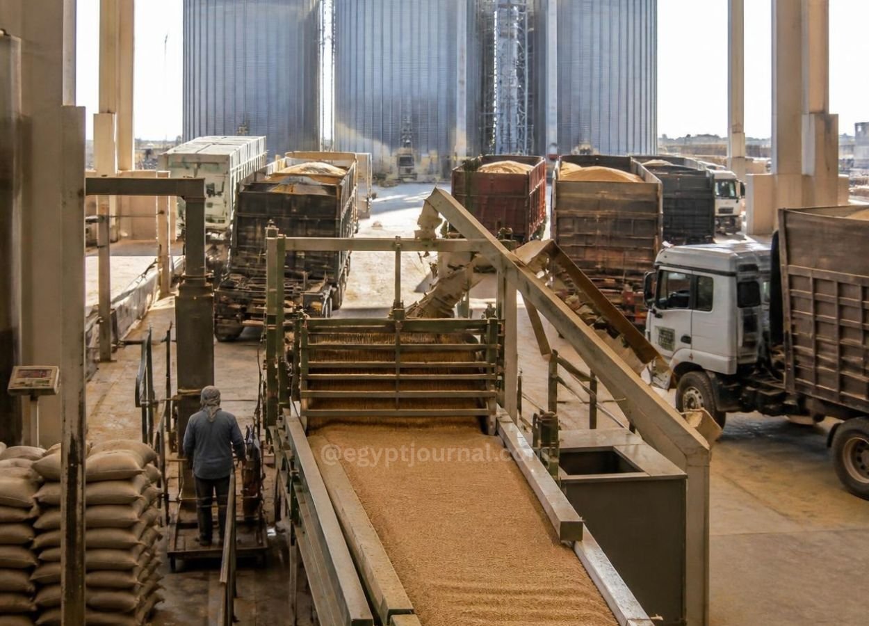 Red Sea Crisis and Eastern Europe Conflicts Escalating Operational Costs in Middle East Grain Supply Chains